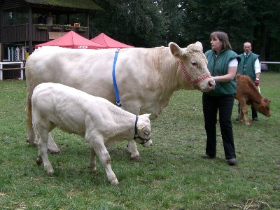 Melanie mit Evelin und Bullenkalb Joschi